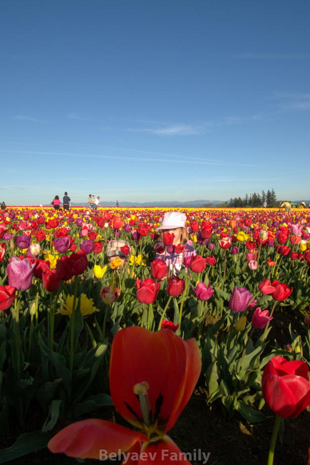 2009-04-20_00009