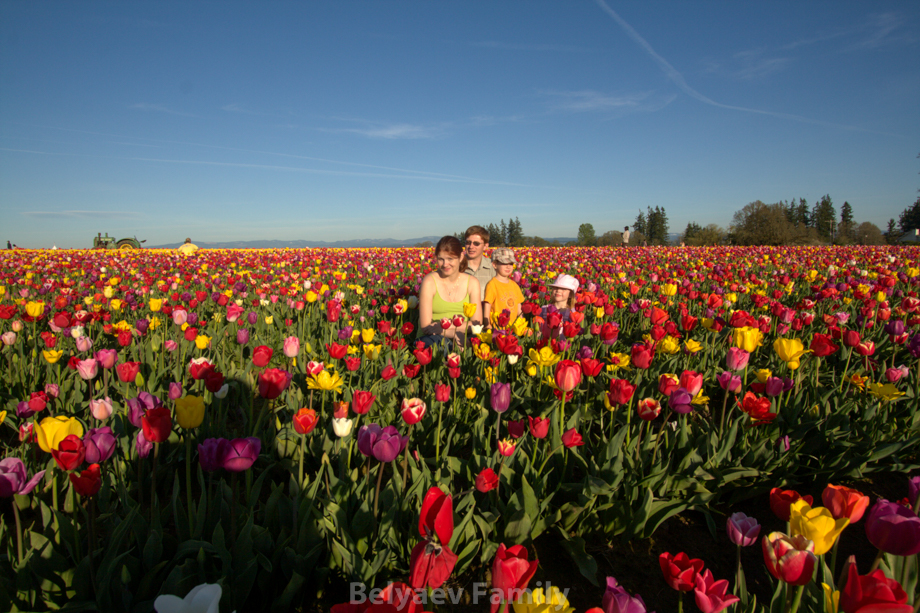 2009-04-20_00026
