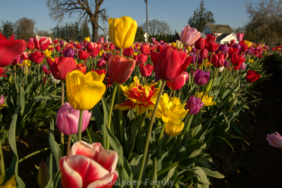 2009-04-20_00038
