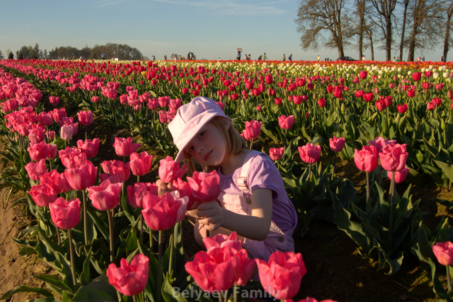2009-04-20_00114