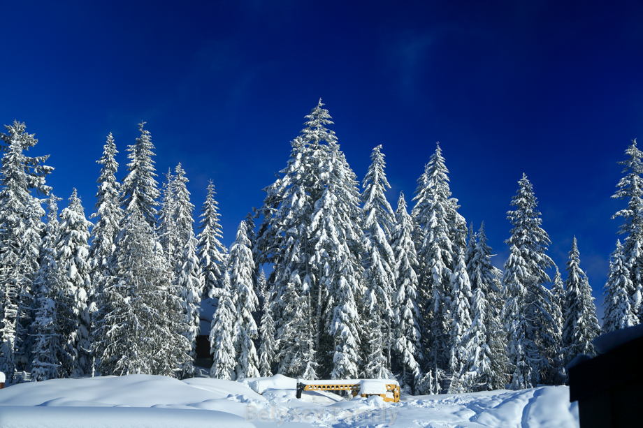 2012-12-27_00019