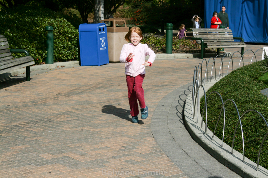 28.11.2008 12-11-45_0109