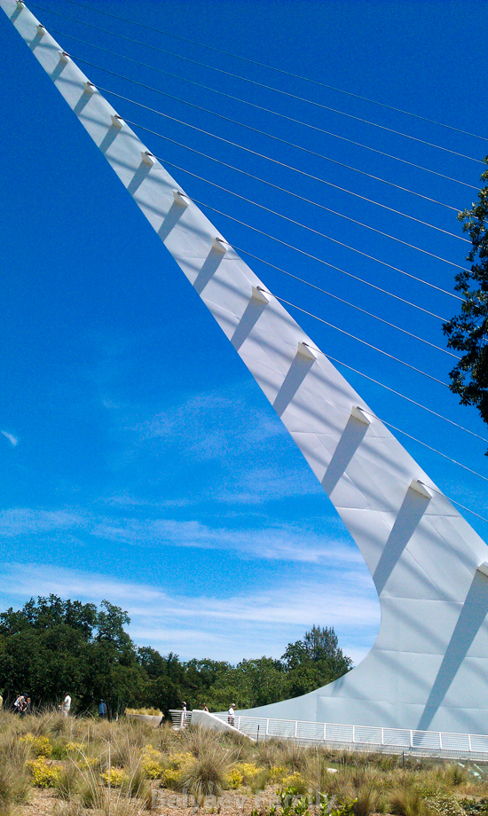IMAG0151