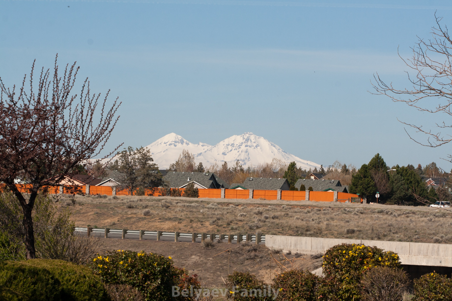 _MG_8708