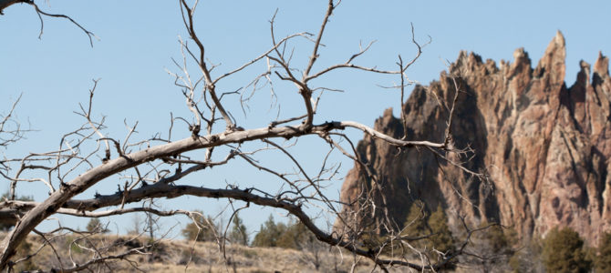 Smith Rock State Park 2012