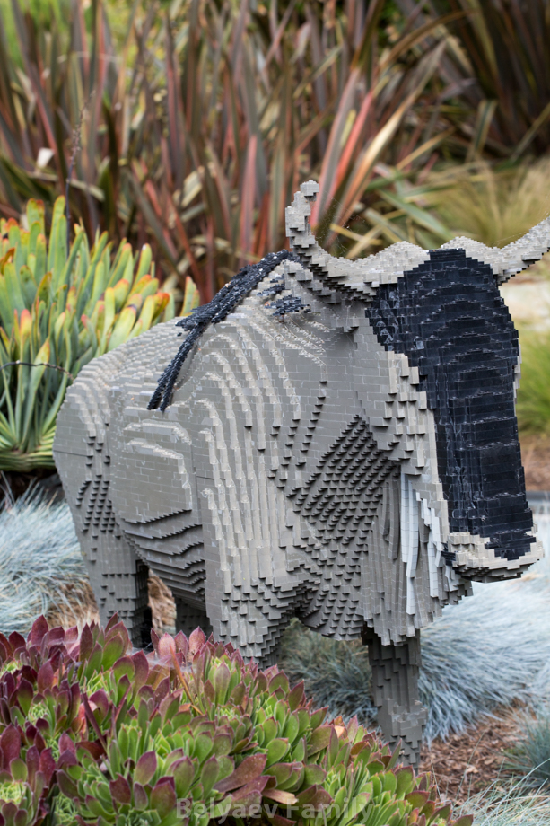 MOM_1317