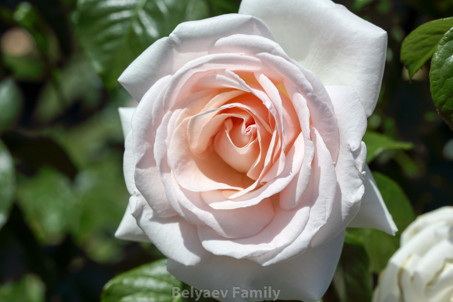 MOM_1495