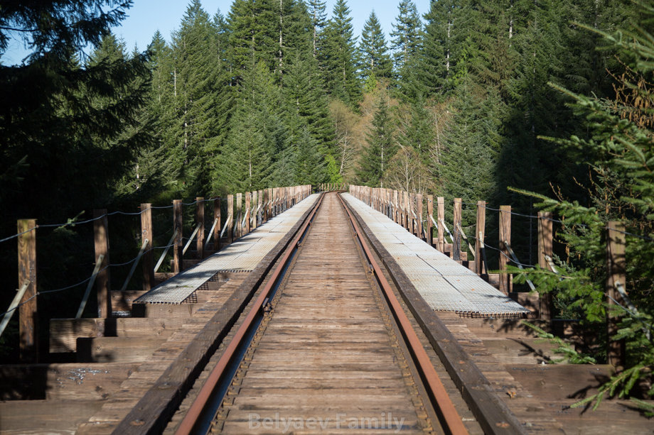 Reliance Creek Trestle - мост через Reliance ручей