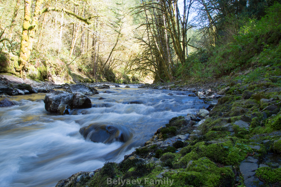 Salmonberry river