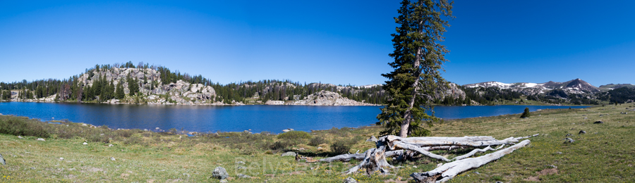 DAD_5276-Pano