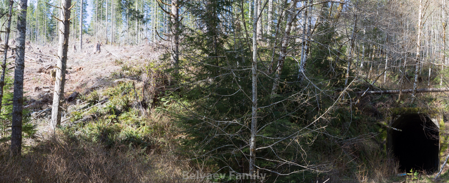 MOM_8414-Pano
