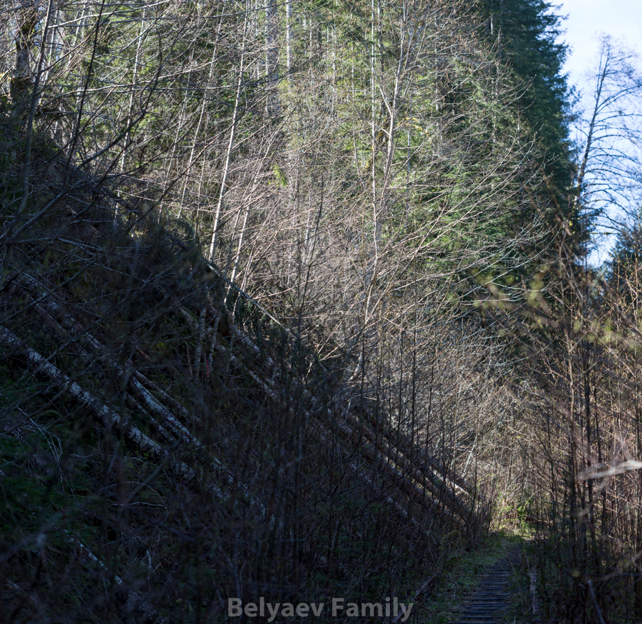 MOM_8456-Pano