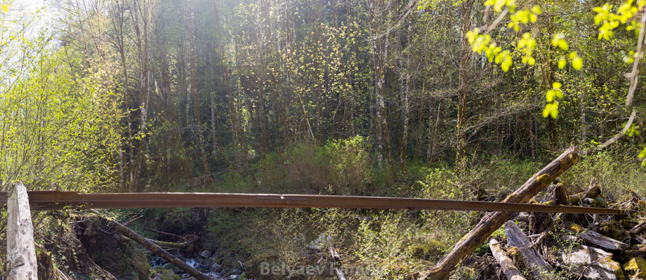 Belding Creek