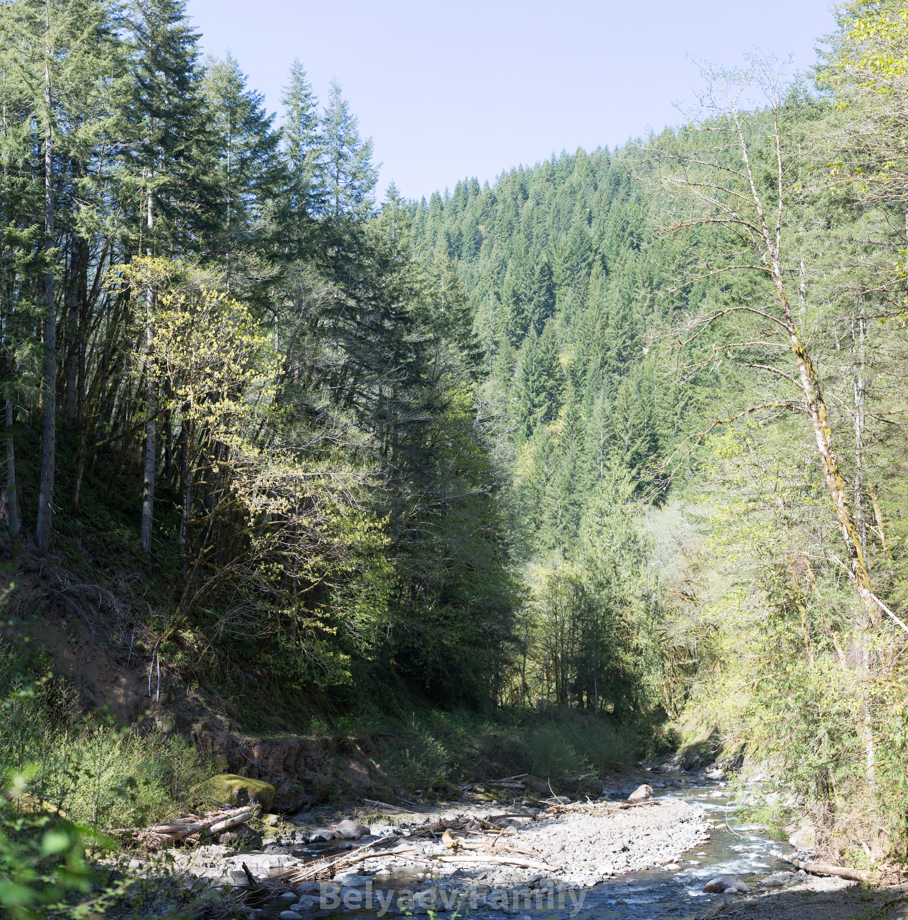 MOM_9033-Pano
