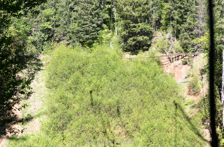 MOM_9323-Pano