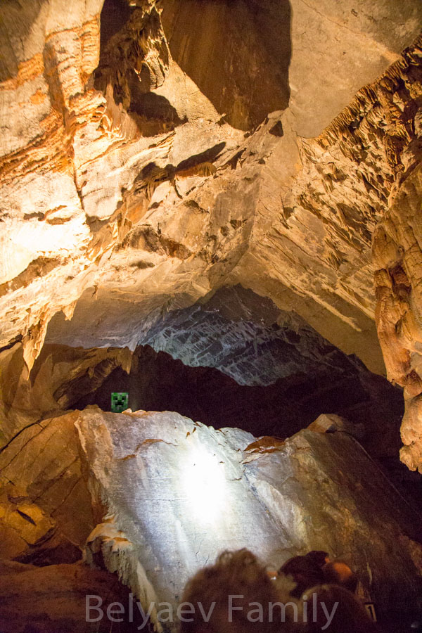 DAD_6234_1