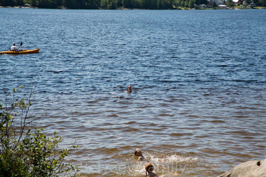 DAD_6481