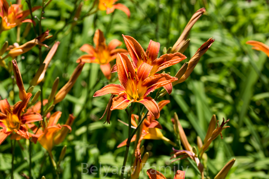 MOM_0035