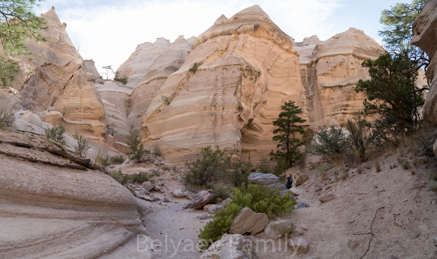 DAD_9128-Pano