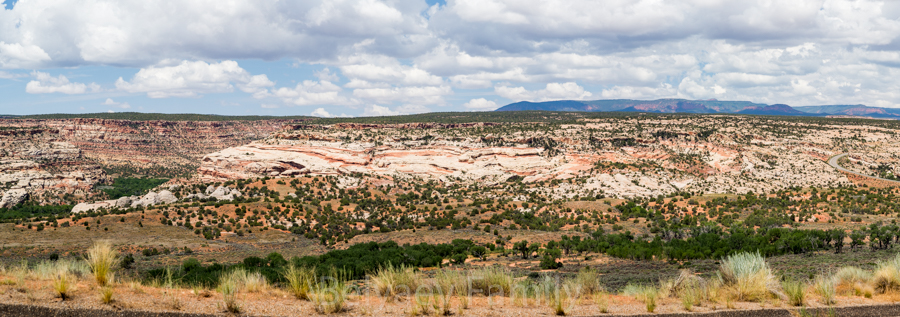 DAD_9651-Pano