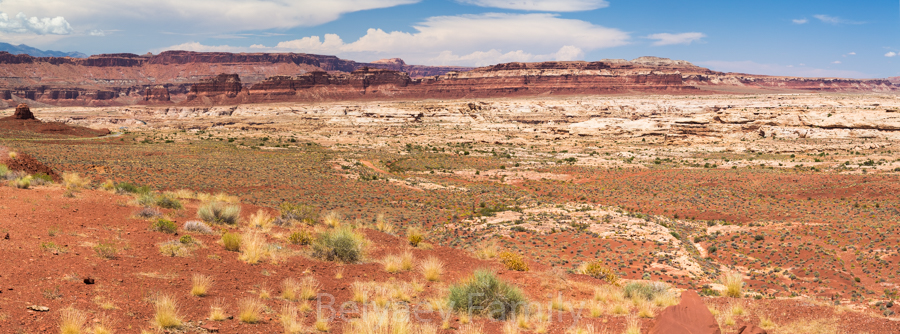 DAD_9690-Pano