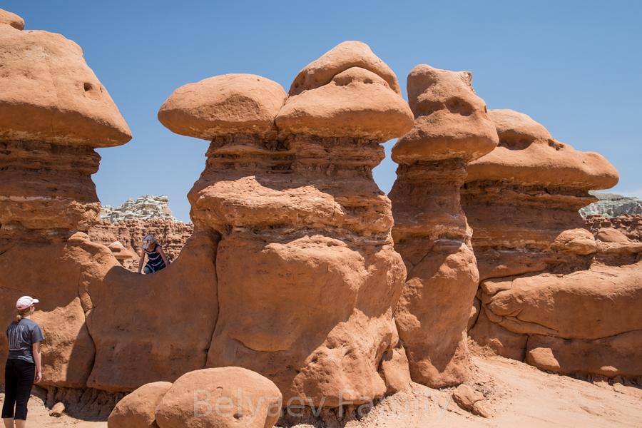 Динозавры
